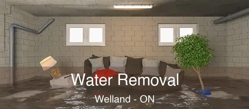  Water Removal Welland - ON
